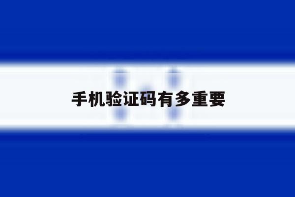 手机验证码有多重要 手机验证码有多重要