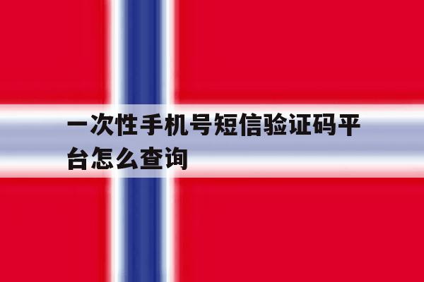 一次性手机号短信验证码平台怎么查询 一次性手机号短信验证码平台怎么查询