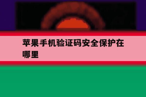 苹果手机验证码安全保护在哪里 苹果手机验证码安全保护在哪里