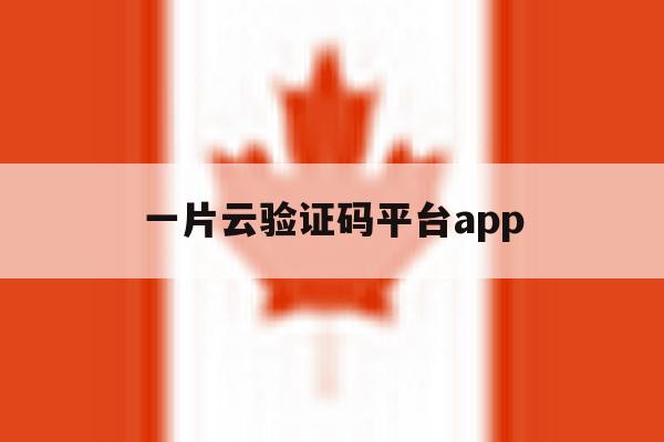 一片云验证码平台app 一片云验证码平台app