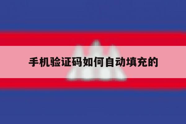手机验证码如何自动填充的 手机验证码如何自动填充的