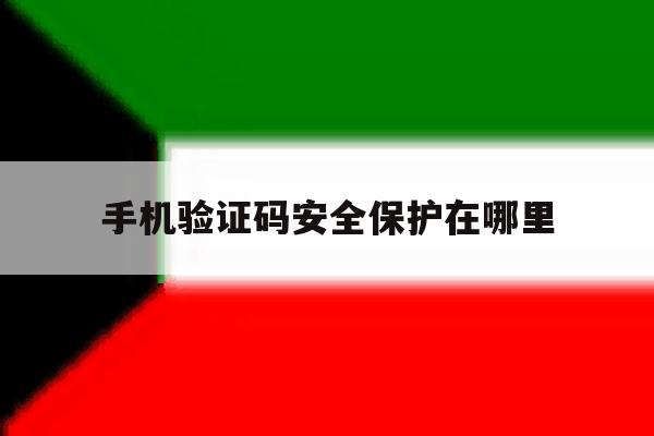 手机验证码安全保护在哪里 手机验证码安全保护在哪里