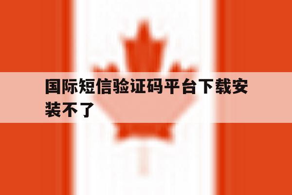 国际短信验证码平台下载安装不了 国际短信验证码平台下载安装不了