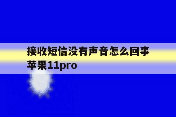 接收短信没有声音怎么回事苹果11pro的简单介绍 接收短信没有声音怎么回事苹果11pro的简单介绍