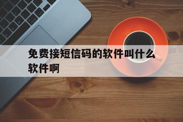 免费接短信码的软件叫什么软件啊 免费接短信码的软件叫什么软件啊