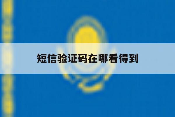 短信验证码在哪看得到 短信验证码在哪看得到