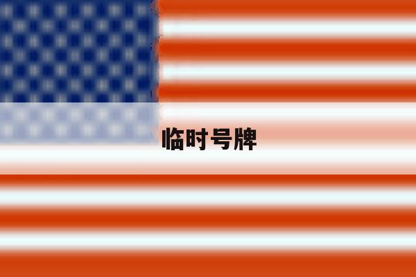 临时号牌 临时号牌