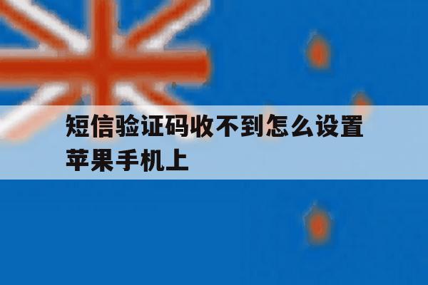 短信验证码收不到怎么设置苹果手机上 短信验证码收不到怎么设置苹果手机上