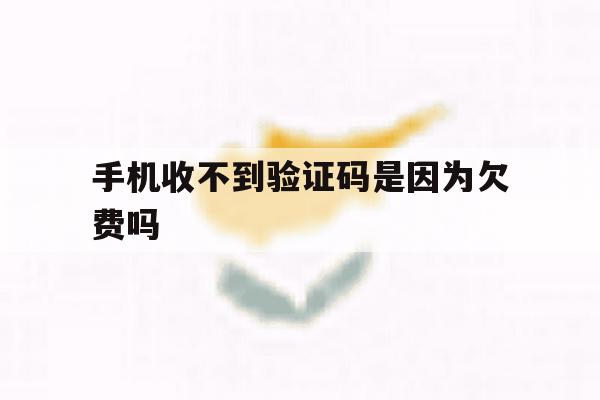 手机收不到验证码是因为欠费吗 手机收不到验证码是因为欠费吗