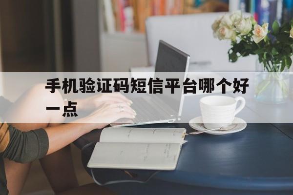 手机验证码短信平台哪个好一点的简单介绍 手机验证码短信平台哪个好一点的简单介绍