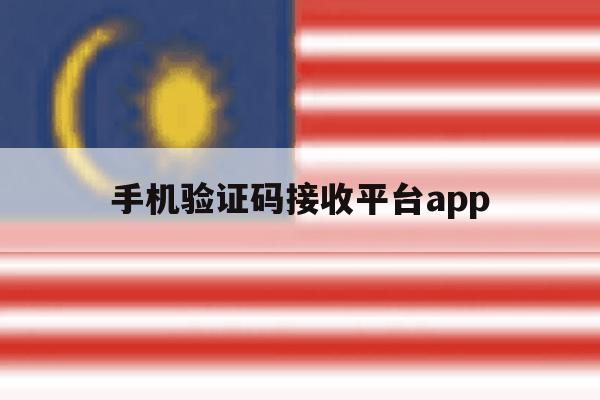 手机验证码接收平台app 手机验证码接收平台app