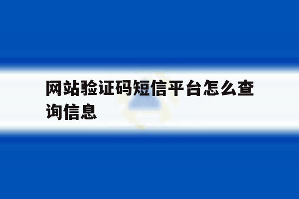 网站验证码短信平台怎么查询信息 网站验证码短信平台怎么查询信息