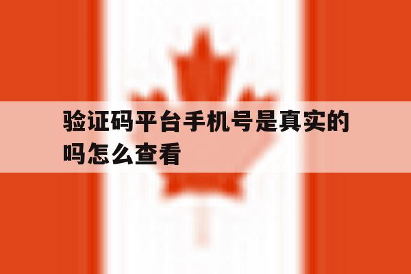 验证码平台手机号是真实的吗怎么查看 验证码平台手机号是真实的吗怎么查看