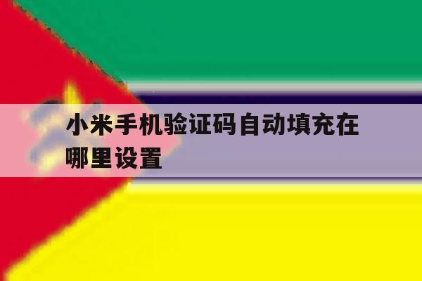 小米手机验证码自动填充在哪里设置 小米手机验证码自动填充在哪里设置