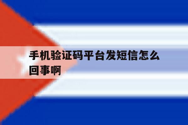 手机验证码平台发短信怎么回事啊 手机验证码平台发短信怎么回事啊