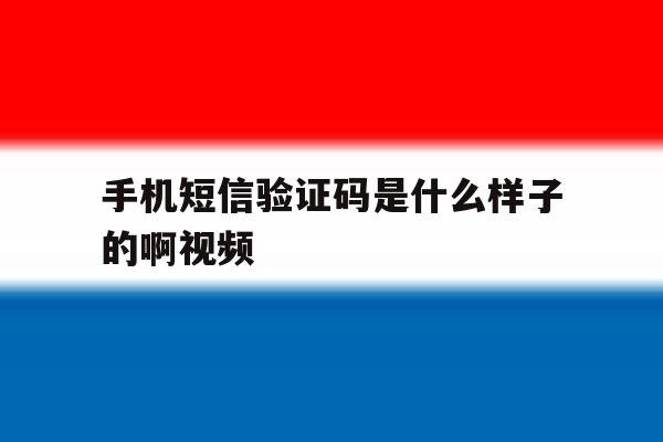 手机短信验证码是什么样子的啊视频 手机短信验证码是什么样子的啊视频