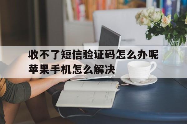 包含收不了短信验证码怎么办呢苹果手机怎么解决的词条 包含收不了短信验证码怎么办呢苹果手机怎么解决的词条