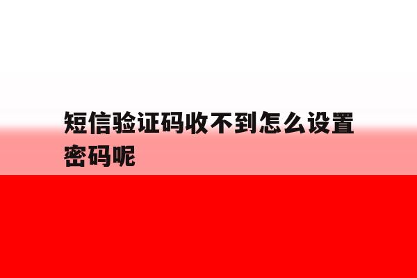 短信验证码收不到怎么设置密码呢 短信验证码收不到怎么设置密码呢