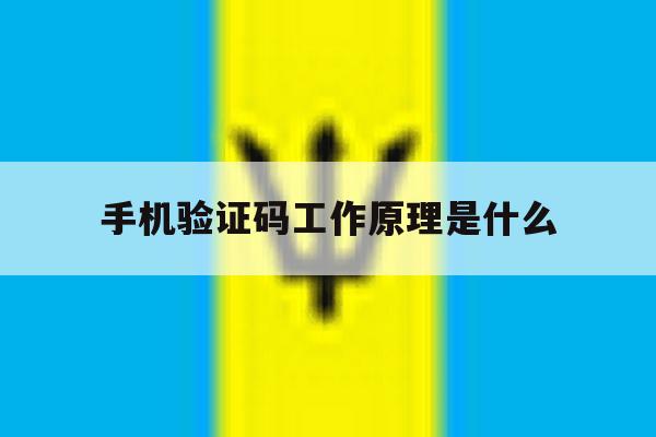 手机验证码工作原理是什么 手机验证码工作原理是什么
