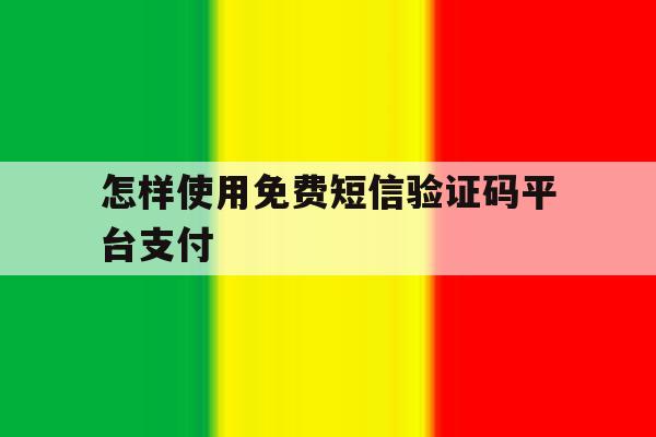 怎样使用免费短信验证码平台支付 怎样使用免费短信验证码平台支付
