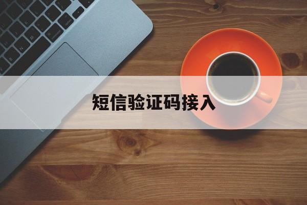 短信验证码接入 短信验证码接入