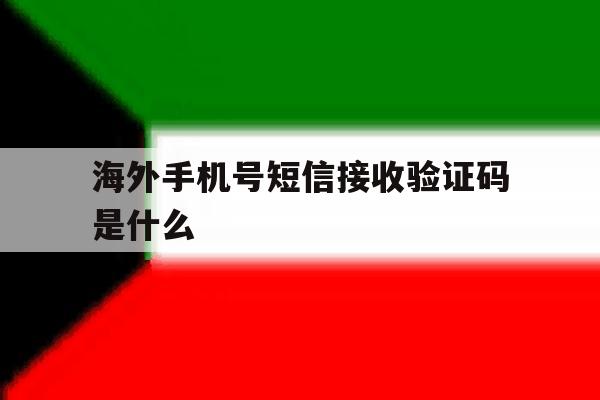 海外手机号短信接收验证码是什么 海外手机号短信接收验证码是什么