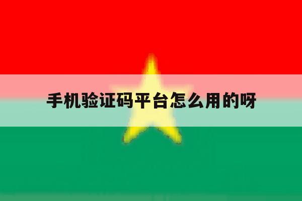 手机验证码平台怎么用的呀 手机验证码平台怎么用的呀