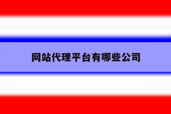 网站代理平台有哪些公司 网站代理平台有哪些公司