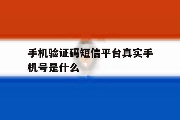 手机验证码短信平台真实手机号是什么 手机验证码短信平台真实手机号是什么