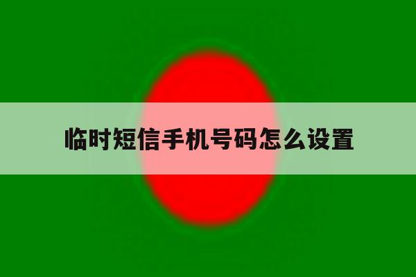临时短信手机号码怎么设置 临时短信手机号码怎么设置