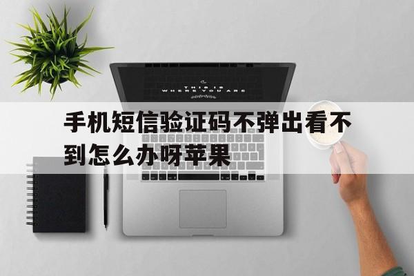 手机短信验证码不弹出看不到怎么办呀苹果 手机短信验证码不弹出看不到怎么办呀苹果