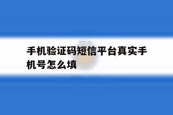 手机验证码短信平台真实手机号怎么填 手机验证码短信平台真实手机号怎么填