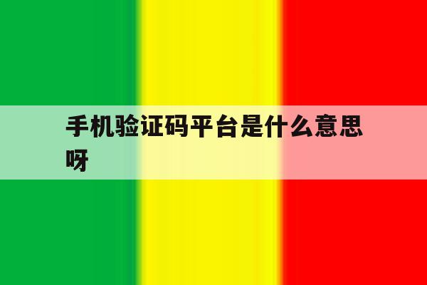 手机验证码平台是什么意思呀 手机验证码平台是什么意思呀