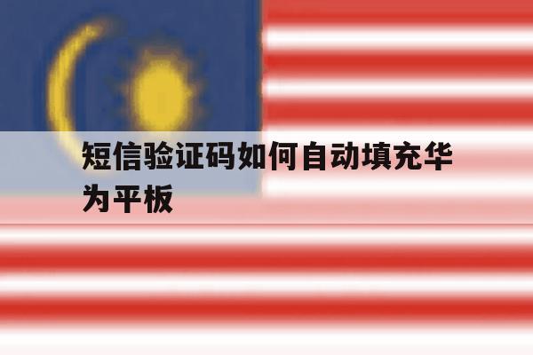 短信验证码如何自动填充华为平板 短信验证码如何自动填充华为平板