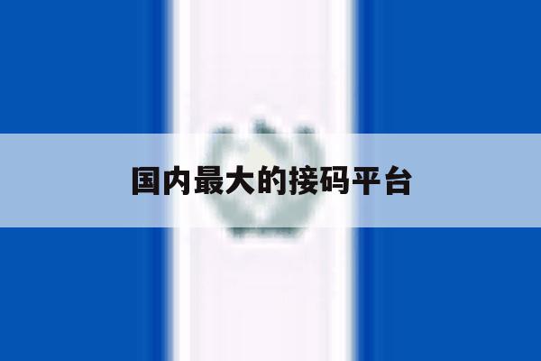 国内最大的接码平台 国内最大的接码平台