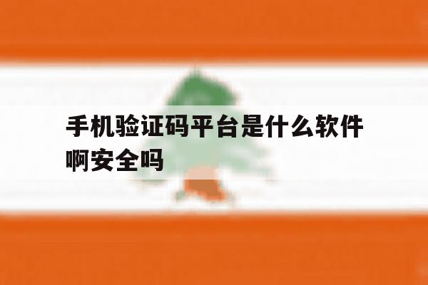 手机验证码平台是什么软件啊安全吗 手机验证码平台是什么软件啊安全吗