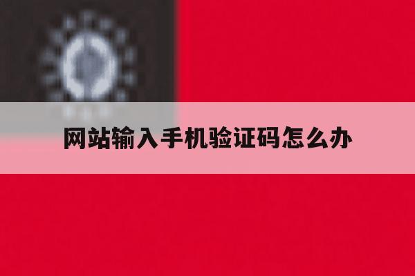网站输入手机验证码怎么办 网站输入手机验证码怎么办