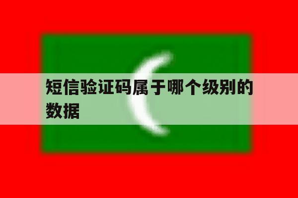 短信验证码属于哪个级别的数据 短信验证码属于哪个级别的数据