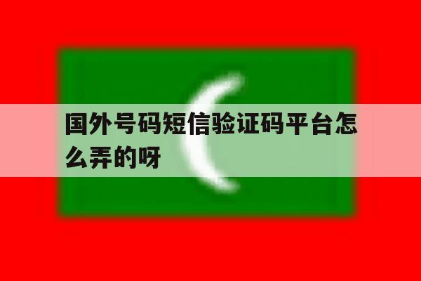 国外号码短信验证码平台怎么弄的呀 国外号码短信验证码平台怎么弄的呀