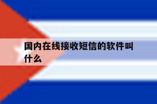 国内在线接收短信的软件叫什么 国内在线接收短信的软件叫什么