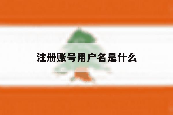 注册账号用户名是什么 注册账号用户名是什么