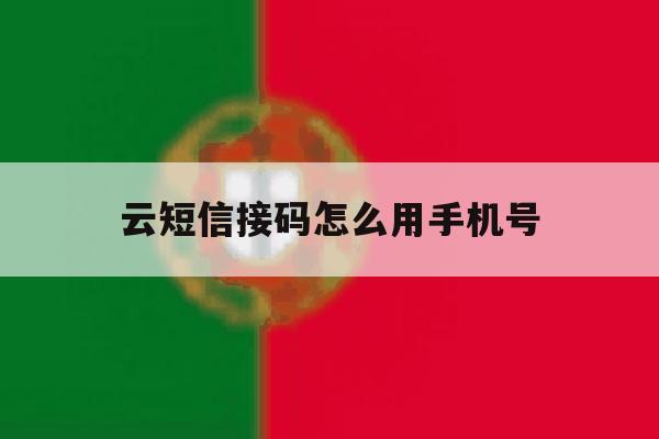 云短信接码怎么用手机号 云短信接码怎么用手机号