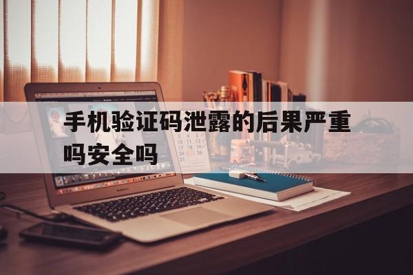手机验证码泄露的后果严重吗安全吗 手机验证码泄露的后果严重吗安全吗