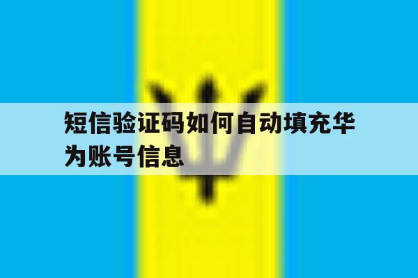 短信验证码如何自动填充华为账号信息 短信验证码如何自动填充华为账号信息