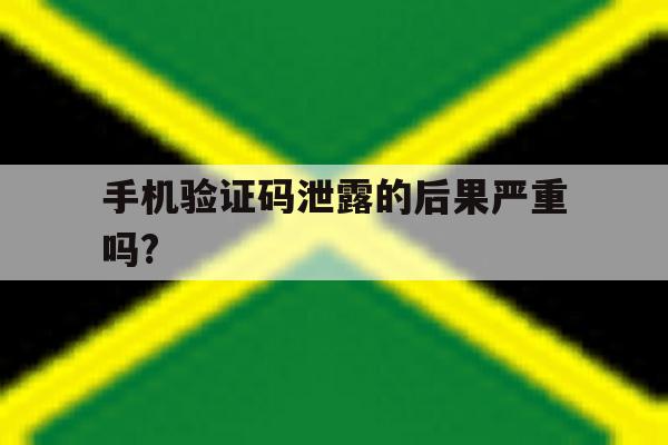 手机验证码泄露的后果严重吗? 手机验证码泄露的后果严重吗?