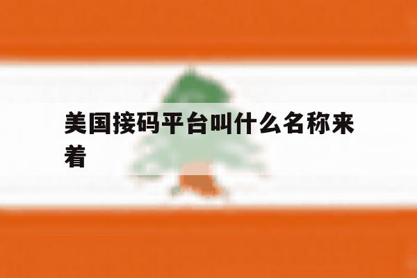 美国接码平台叫什么名称来着 美国接码平台叫什么名称来着