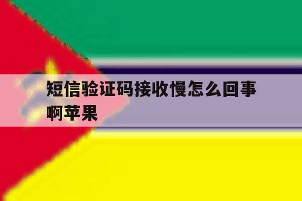 短信验证码接收慢怎么回事啊苹果 短信验证码接收慢怎么回事啊苹果