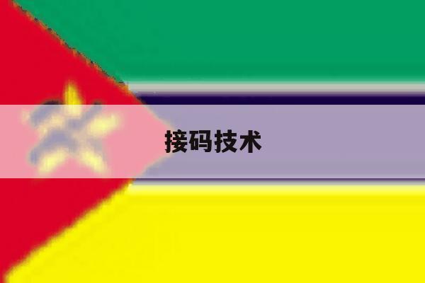 接码技术 接码技术