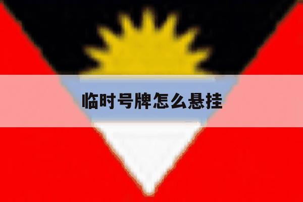 临时号牌怎么悬挂 临时号牌怎么悬挂