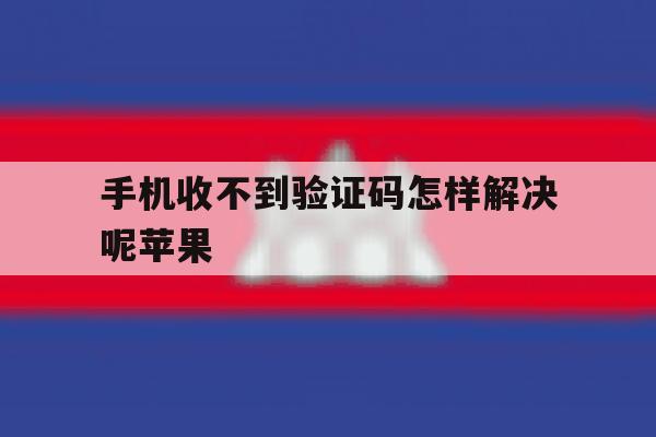 手机收不到验证码怎样解决呢苹果 手机收不到验证码怎样解决呢苹果